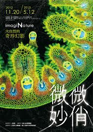 微妙微俏-大自然的奇珍幻影
